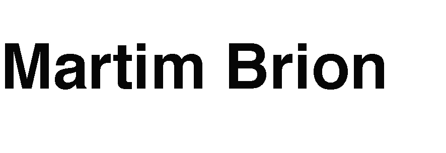 Martim Brion
