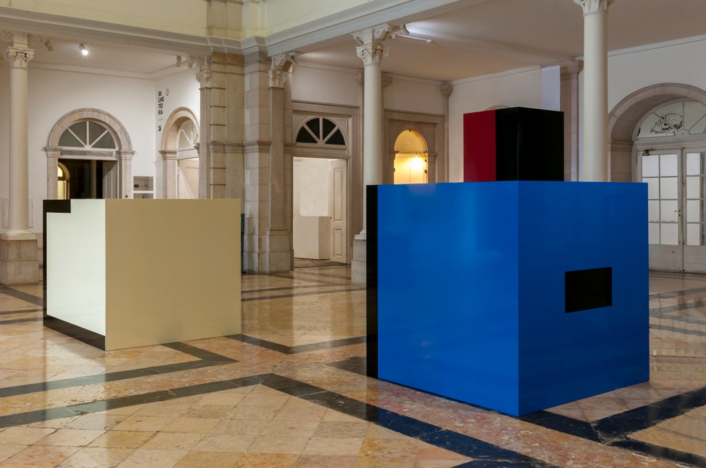 Martim Brion Museu Nacional da Historia Natural e da Ciencia Lisboa