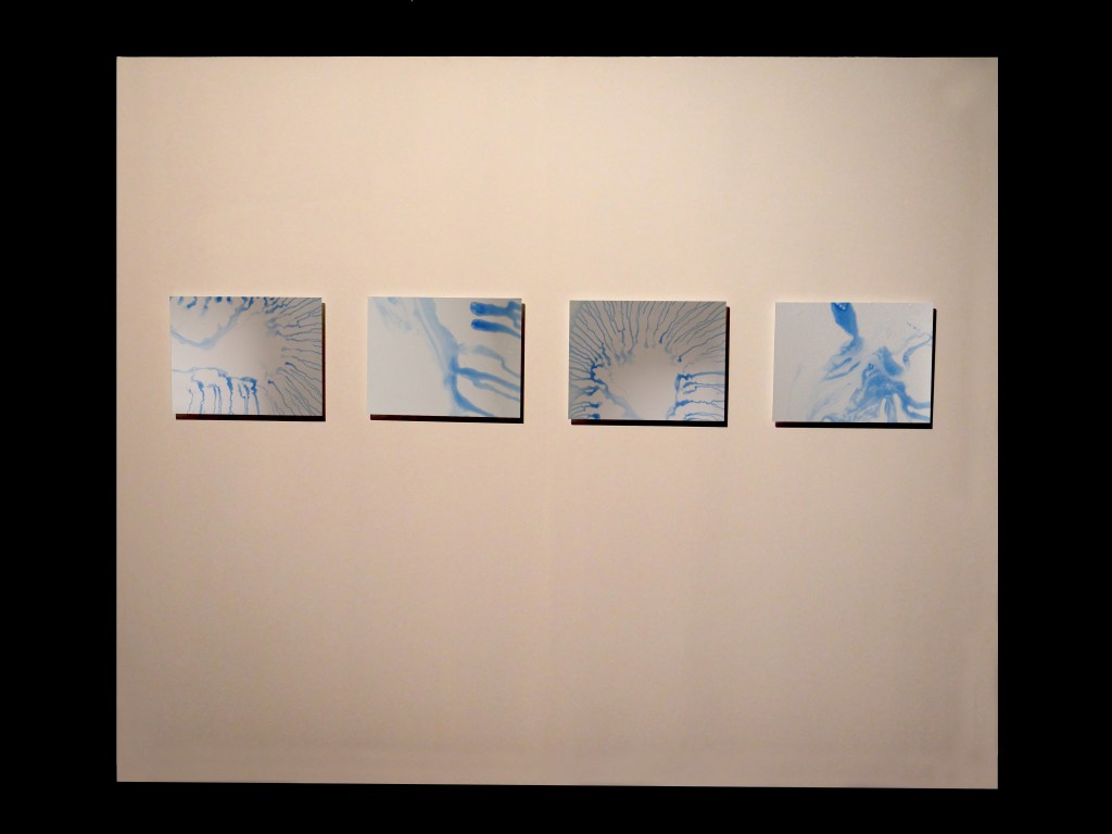 Martim Brion - Artistas Unidos - Lisboa - Teatro da Politecnica - Art - Precise Sense of Form