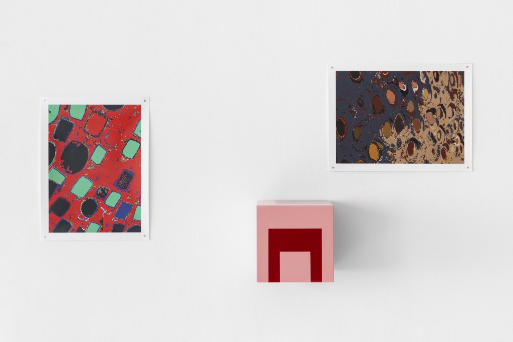 Martim Brion, Exhibition, Galeria Nave, Mercedes Ceron, Perspectives, Colourscaes