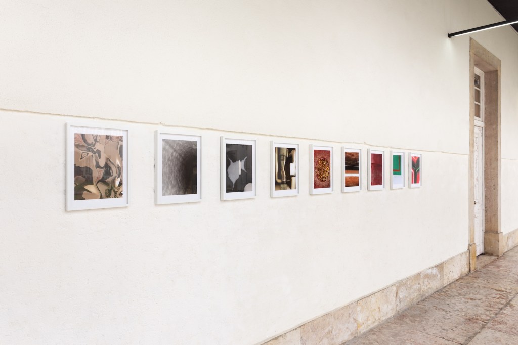 Martim Brion MUHNAC Galeria Nave