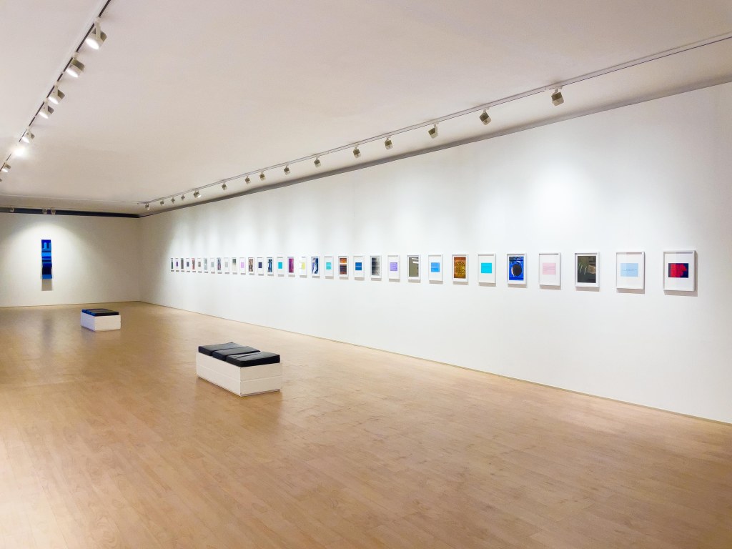 Martim Brion, Museu da Guarda, exhibition, Portugal, Art, Artist