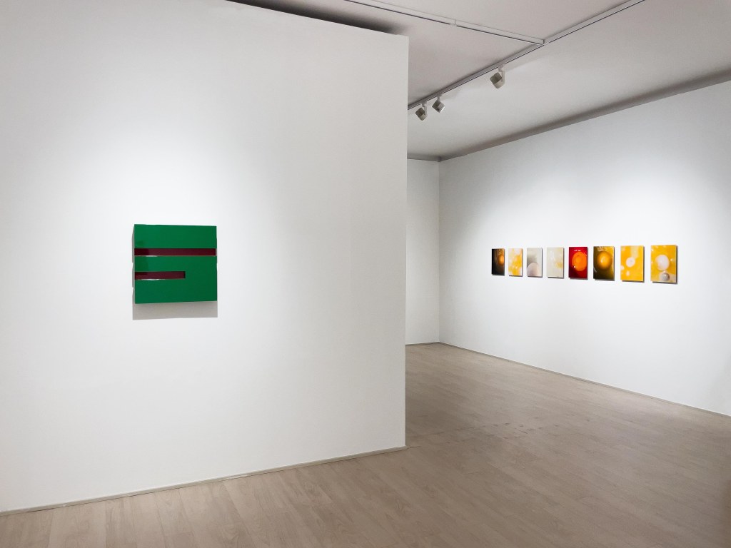 Martim Brion, Museu da Guarda, exhibition, Portugal, Art, Artist