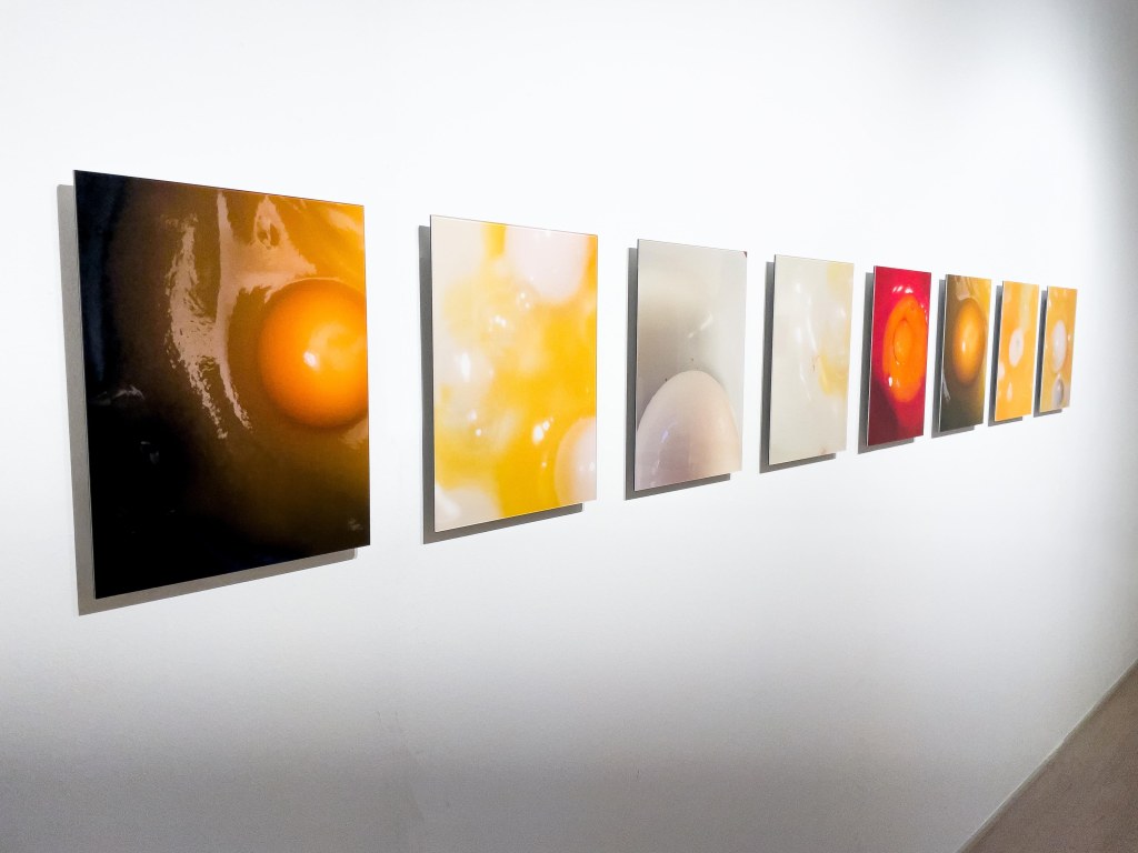 Martim Brion, Museu da Guarda, exhibition, Portugal, Art, Artist