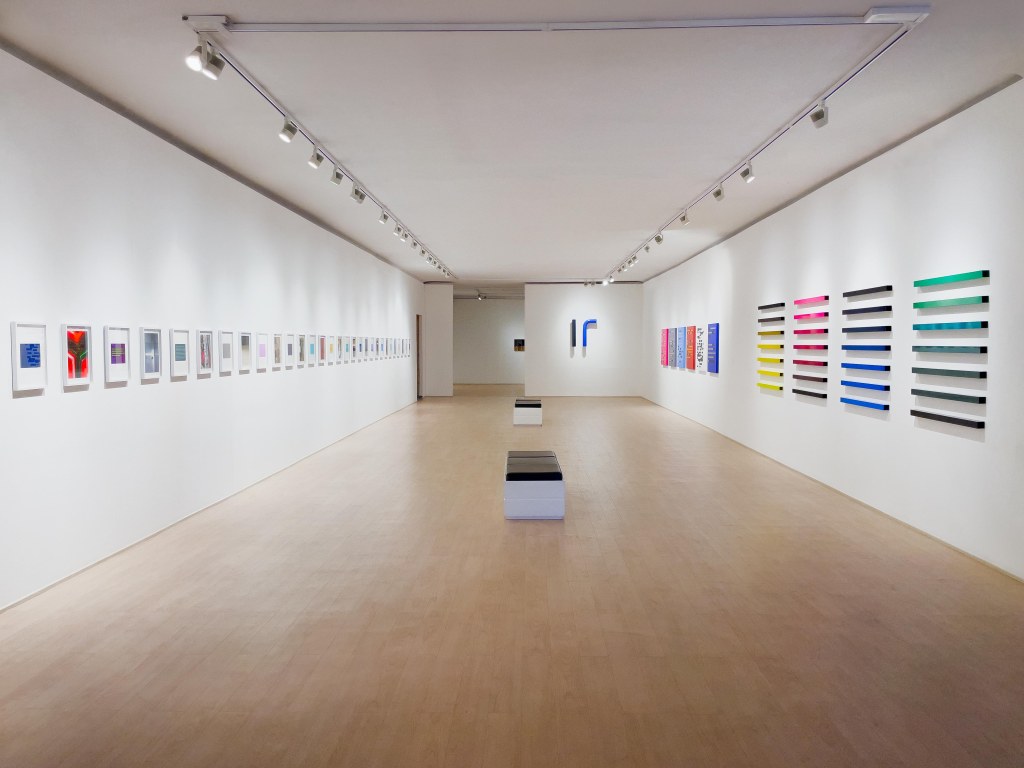 Martim Brion, Museu da Guarda, exhibition, Portugal, Art, Artist