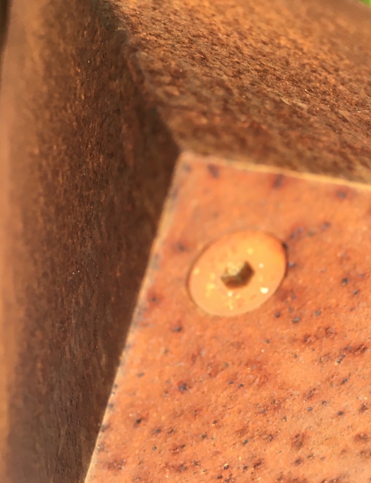 Martim Brion, Photograph